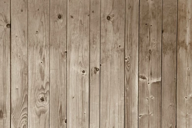 Wood Effect Wallpapers TRAINING By Wall&decò Design Giovanni Pagani