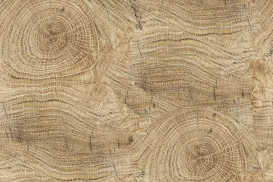 Wood Effect Bathroom Wallpapers LIFE LINES By Wall&decò Design ...