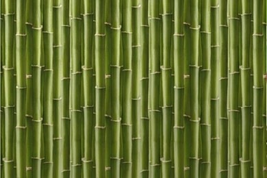 Grandeco grandeco vera cruz bamboo forest jungle wood effect wallpaper 817984 p1119 1659_zoom.jpg