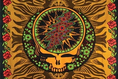 Shakedown Street On Pinterest