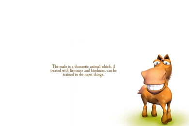 22499) Funny Quotes High Resolution Wallpapers   WalOps.com