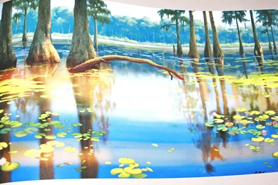 Walt Disney Backgrounds   The Princess And The Frog   Walt Disney ...