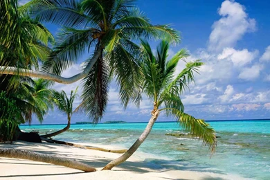 Best Scenery (id: 95365) – BUZZERG