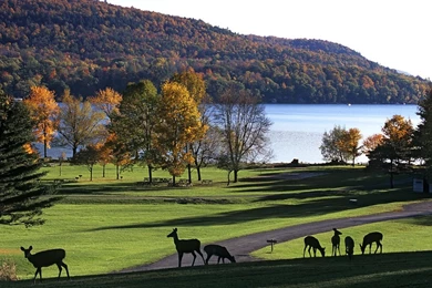 Central Park HD Wallpapers