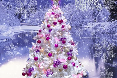 Christmas Winter Wallpaper Backgrounds