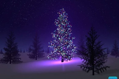 Winter christmas wallpaper 6.jpg