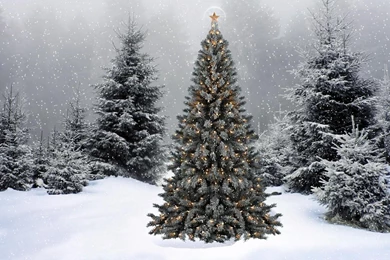Christmas Winter Desktop Wallpaper, Christmas Winter Pictures, New ...