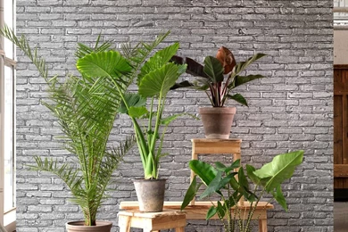 Piet Hein Eek Creates Materials Wallpapers Range For NLXL