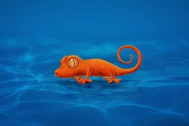 Best Hd Wallpapers For Ipad   HD Widescreen Wallpapers