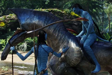 2014 Avatar 2 Movie HD Desktop Wallpapers 09   1920x1080 Wallpapers ...