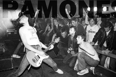 Accessible Novelties: Music Rock Ramones Wallpapers