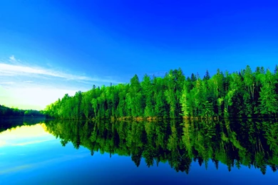 Green Forest Lake.jpg