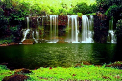 Green Forest Best Wallpapers Picture