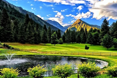 Beautiful Small Pond Near The Green Forest Wallpapers