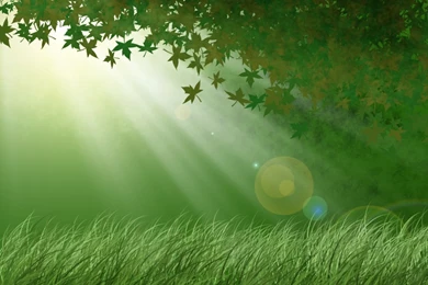 Green Forest By LuckyHRE On DeviantArt