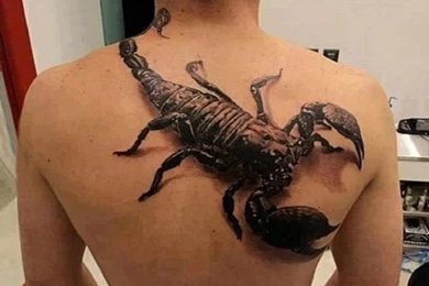 Cool Scorpion Back Tattoos 2 free hd wallpapers.jpg