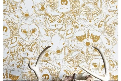 Wild Wallpapers By Sarah Watson For Chasing Paper   Wallpapers Kids ...