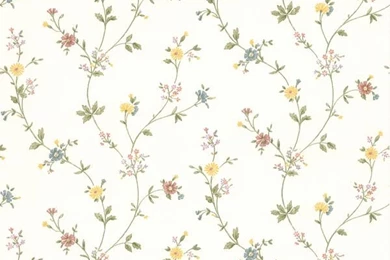 414 49223 White Daisy Trail   Hana   Brewster Wallpapers