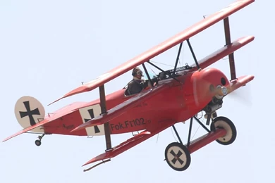 Build A WW1 Fighter Replica For Less Then The Price Of A Sedan ...