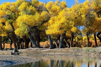 iPad 3 Wallpapers Nature 01