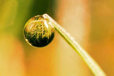 Free iPad 3 HD Wallpapers Retina Desktop Backgrounds Apple 2048 ...