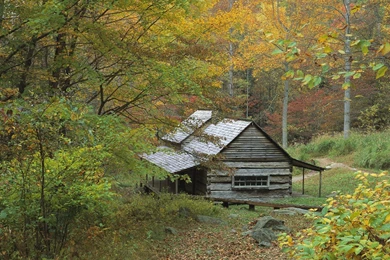 Log cabin places 1 screensaver.jpg