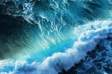 Hd Nature Images, Organic, Plants, Fresh Air, Widescreen ...