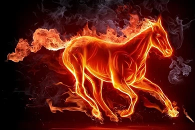 Denver Broncos Wallpaper  Fiery Horse