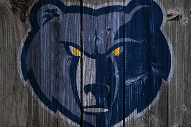 Memphis Grizzlies Wood iPhone 4 Backgrounds