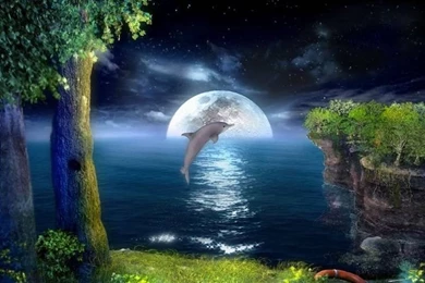 Free Moving Dolphin Screensavers