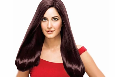 Katrina Kaif Wallpapers Free Download   HD Wallpapers Lovely
