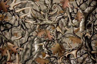 Hunting Camo Wallpapers