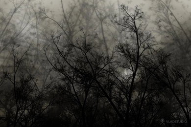 Dark And Gothic Wallpapers