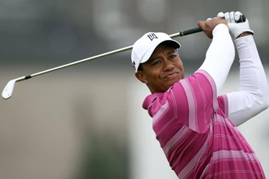 Tiger Woods   WallpaperShow