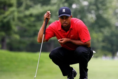 Pictures Of Tiger Woods   Wallpapers HD Base