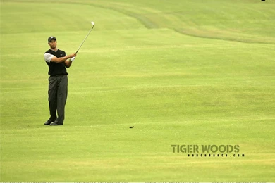 Tiger Woods   Tiger Woods Wallpapers (8208395)   Fanpop