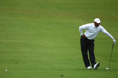 Tiger woods wallpapers.jpg