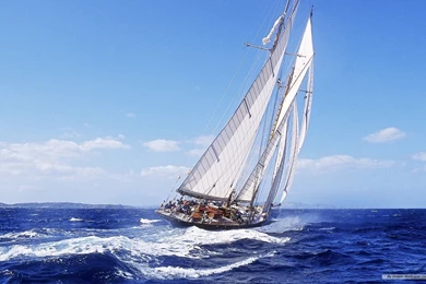 Free Wallpapers   Free Nature Wallpapers   Windows 7 Themes ...