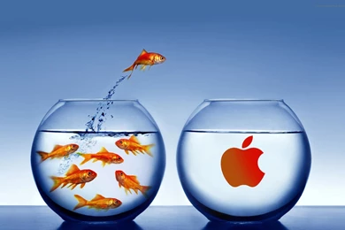 Apple's Appeal,Apple Hd Wallpapers For Desktop,Technology ...