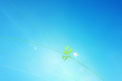 Backgrounds Logon Default Windows 7 HD Desktop Wallpapers : High ...