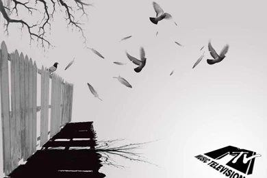 MTV Wallpapers 10 By MTVmusictelevisionTr On DeviantArt