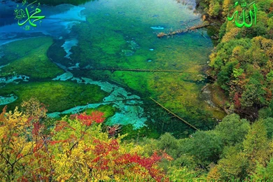 Allah Wallpapers HD 2015   Wallpapers Cave