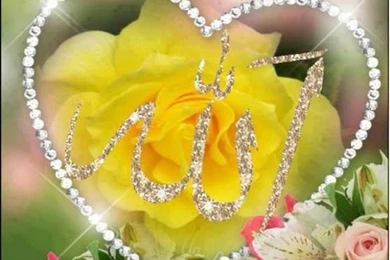 Beautiful Allah Name Wallpapers » Salamyou Muslim Social Network