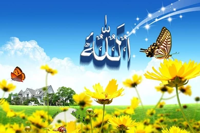 Natural Wallpapers, Bollywood Wallpapers, Hollywood Wallpapers ...