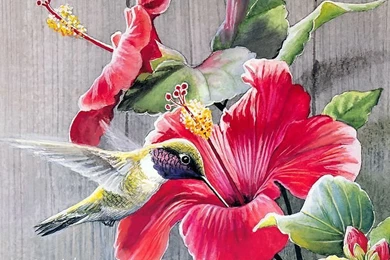 Songbirds In Garden   Watercolor Paintings Of Cute Little Birds ...