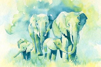 Watercolor Paintings By Katrina Pete
