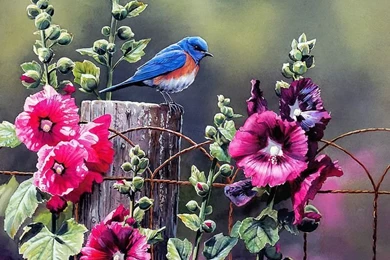 Bluebird In Garden   SongBirds Watercolor Paintings < FileIndex ...