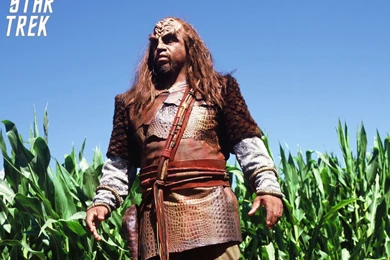 Star Trek Klingon Courier Klaang, Free Star Trek Computer Desktop ...