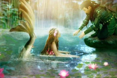 Mermaid Wallpapers   Wallpapers Cave