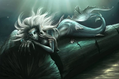 Mermaid Wallpaper Backgrounds